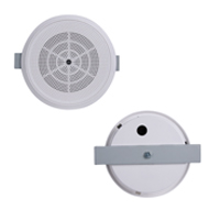 Ceiling Speaker