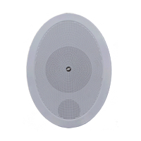 Wall speaker